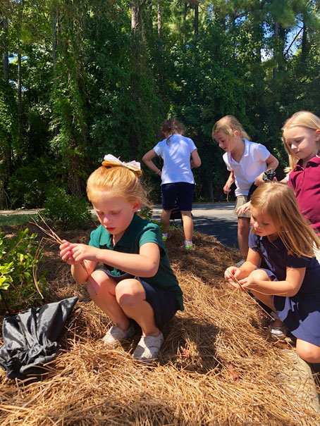 Wonder, Engage, Grow…Outdoor Learning Expands at MGCS